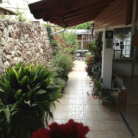 Mina Teva Villa Metula Bagian luar foto