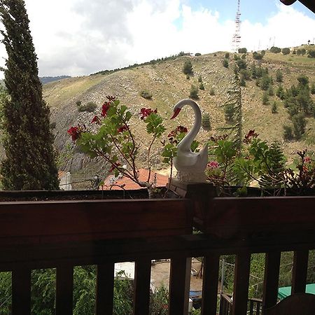 Mina Teva Villa Metula Bagian luar foto