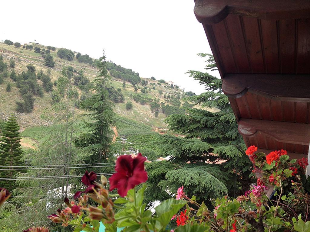 Mina Teva Villa Metula Bagian luar foto